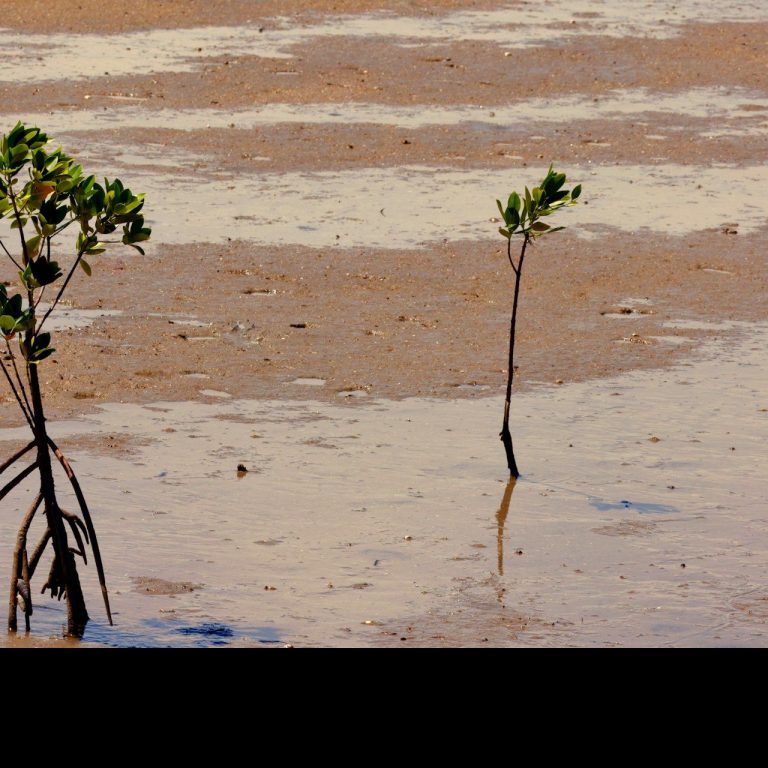 Faithfully Sown photo 23