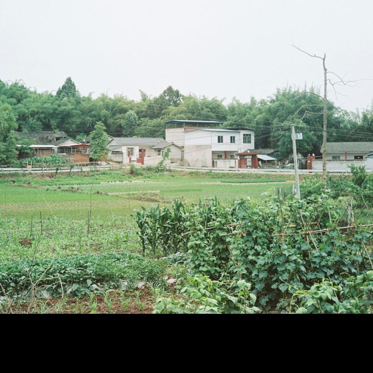 Faithfully Sown photo 22